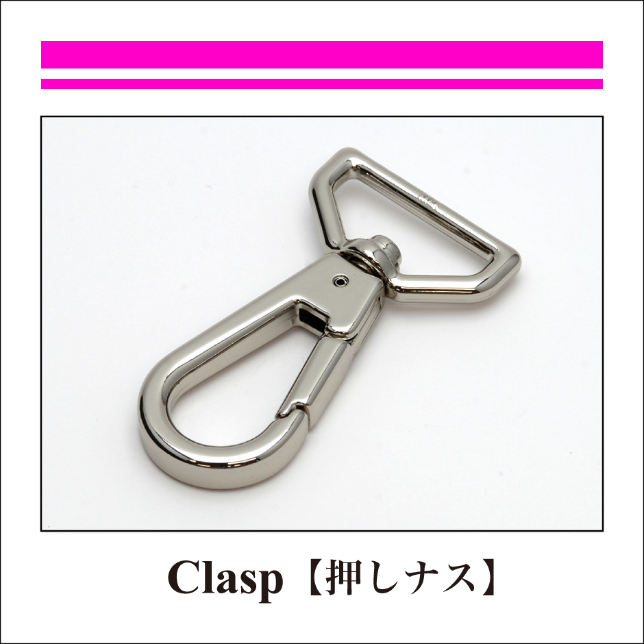 CLASP：押しナス-1
