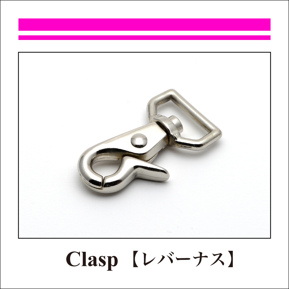CLASP：レバーナス-6